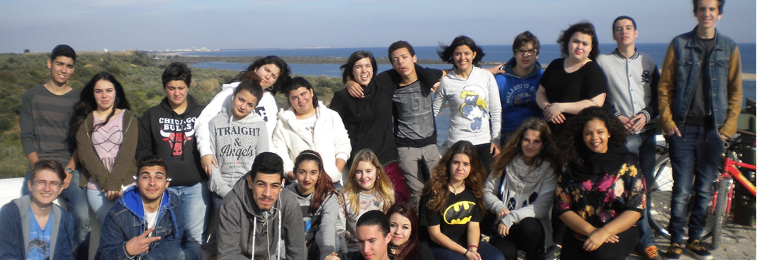 banner_t2